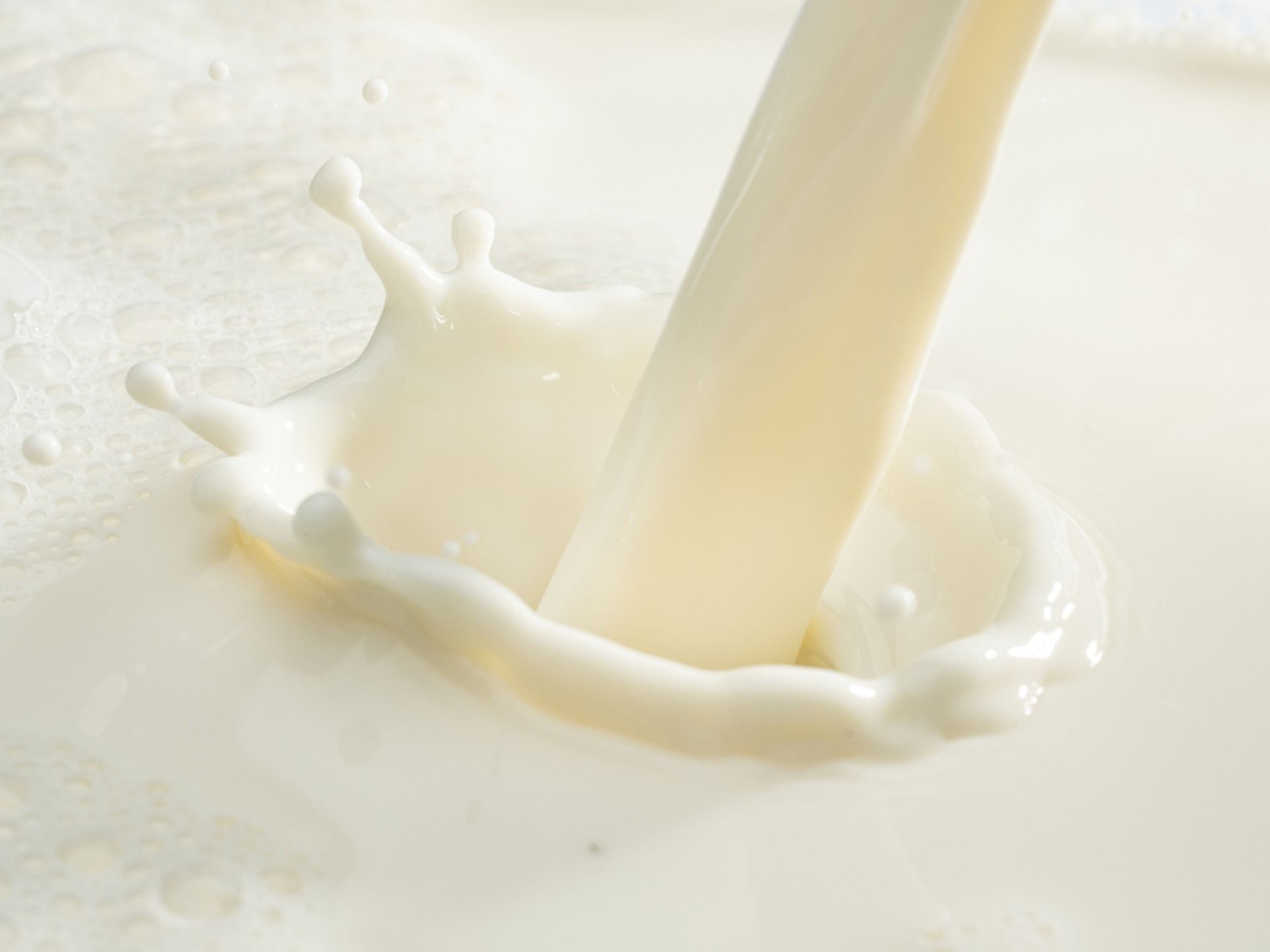 Milch & Kaffeesahne