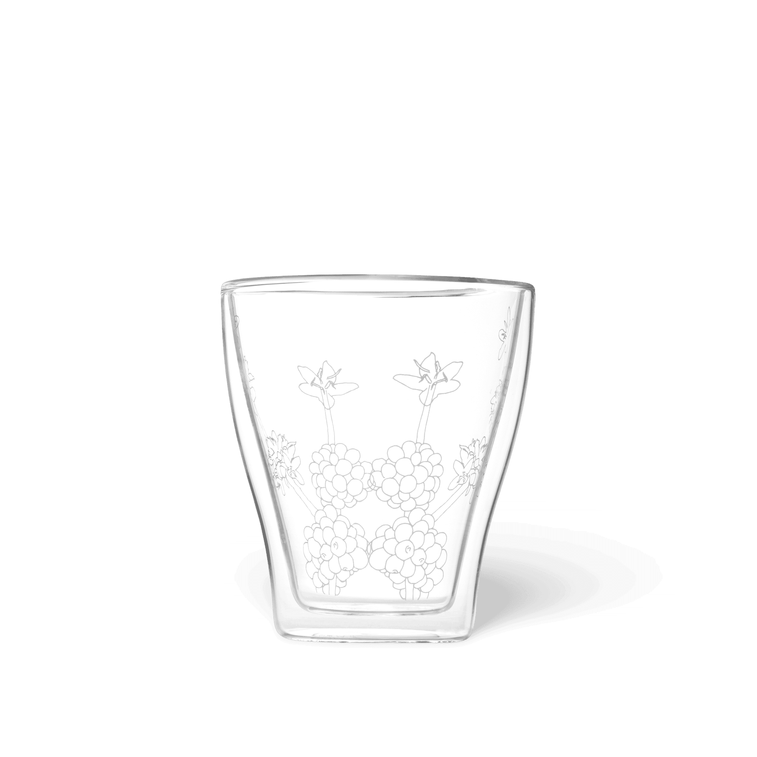 Doppelwandglas 240 ml von Kaffee Partner kaufen